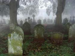 travelbinge:Misty graveyard South Devon by