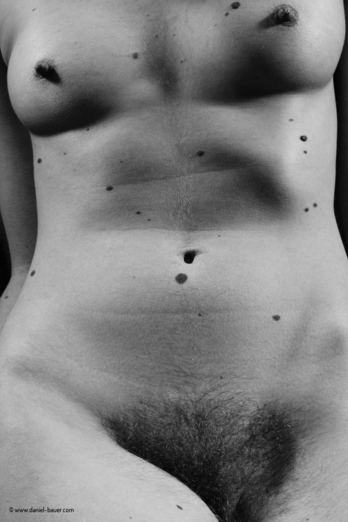 Porn torso, by Daniel Bauer photos