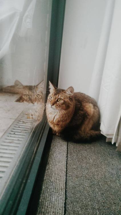 hideouspumpkin:Someone isn’t in the mood today.