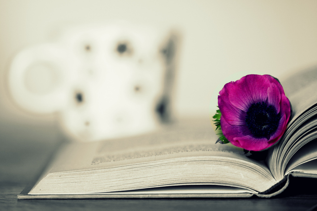 teachingliteracy:   (by zozoros) 