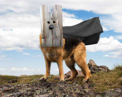 hobolunchbox:Fence Dog: Bark For Justice