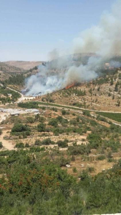 BREAKING: Many homes in the Ramot neighborhood of Jerusalem evacuated due to fire caused by Lag BaOm