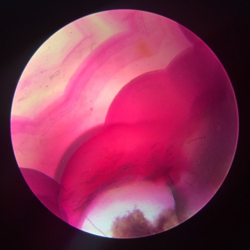 infinitetiny:Agate. For more microscopic content, follow me on IG @infinitetiny.