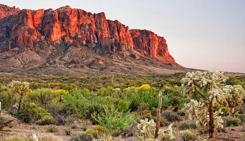 oneshotolive:  Mountain in Arizona[OC][680x392]