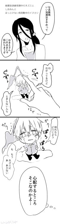 saya149cm:  SIOMIN