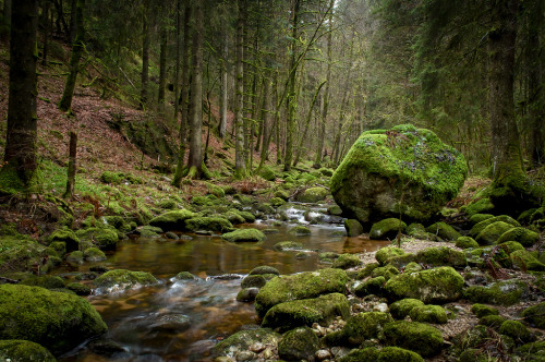 darkface: The Rock (by chris_the_grandmaster)