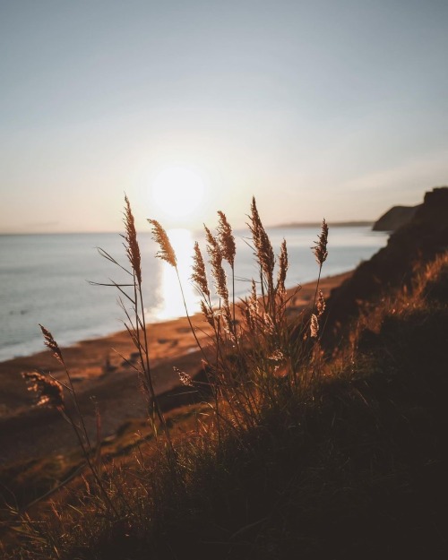 Instagram | Thewildwoodmoth