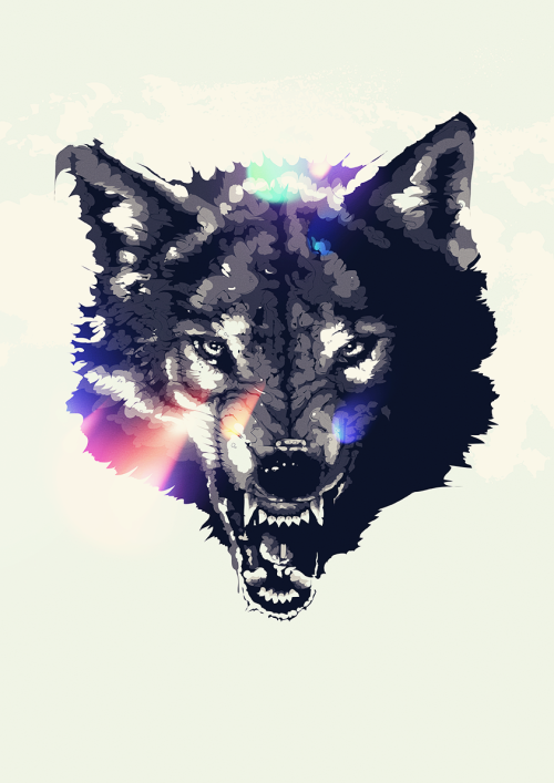 fer1972:   Animal Rage: Illustrations by Bram Van Haeren