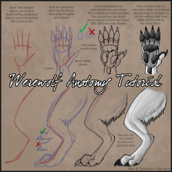 anthropants:  (top)Werewolf Anatomy Tutorial