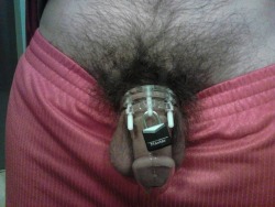 Male Chastity Fun