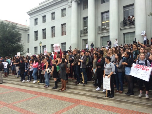 baby-luc: Berkeley high school protest for Mike Brown, Eric Garner, and justice everywhere