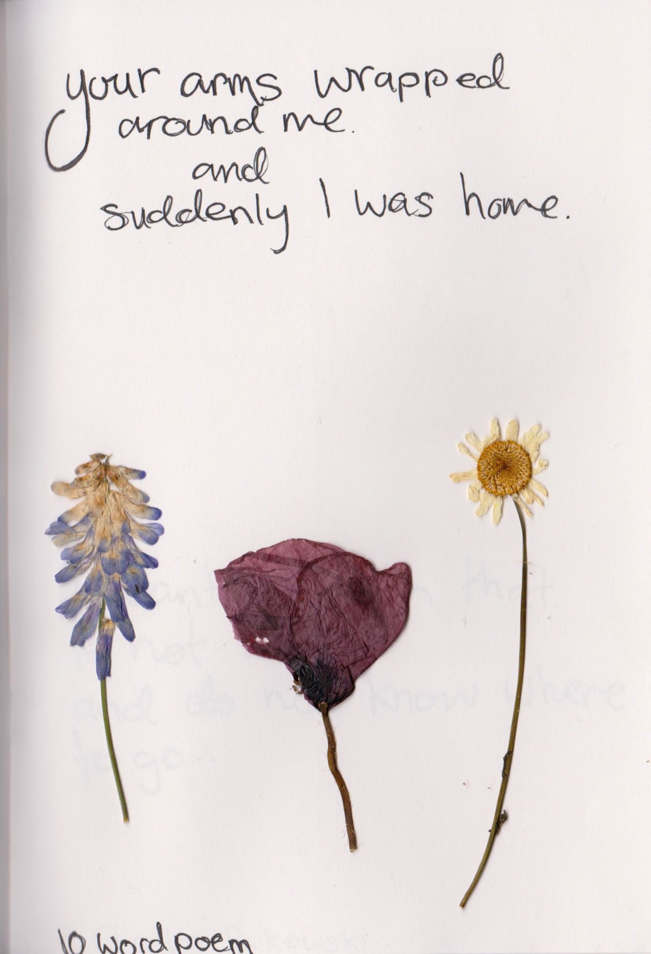 dry flower lyrics
