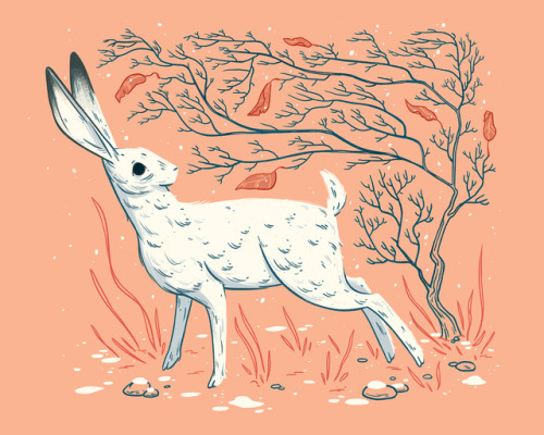“A Winter Hare” by Celia KrampienNew personal work. I’m planning a small run of si