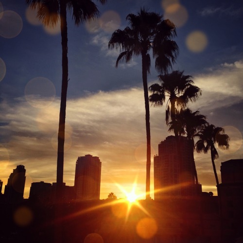 oh-so-coco:  Hello, Florida! ☀️👌 