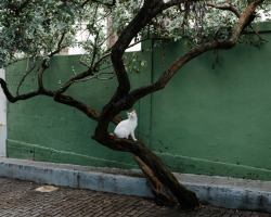 jfpetersphoto:San Juan, PR 2017