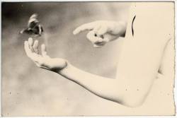 renarde20:  Masao Yamamoto 