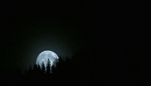 tumblr photo alpha-beta-and-omega 0