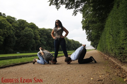 homage2femalesupremacy:  Goddess and her enslaved minions  Worship @Mistress_Ezada! Train your 