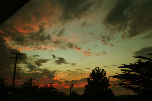 leatherboundleaves: I think the best sunset in Monterey Bay in 2013