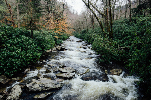 kyleethanevans: smoky mountains.