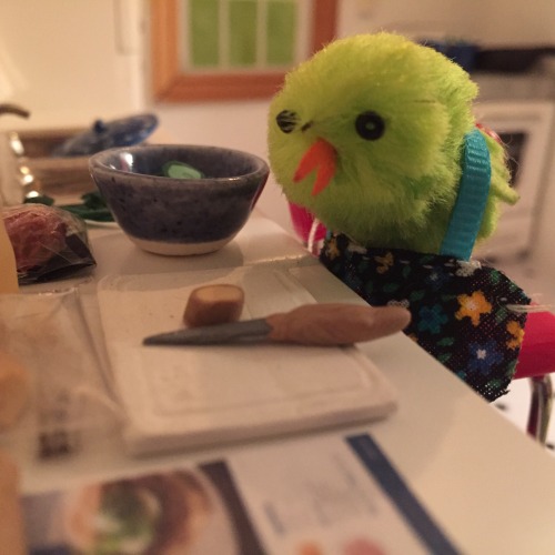 adventuresofchick: Chick’s third and final Blue Apron meal is ginger pork burgers. She especi
