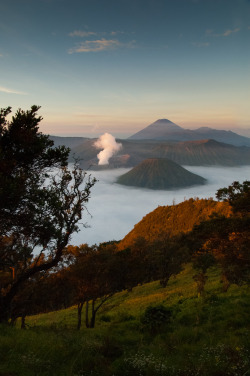 touchdisky:  Mount Bromo, East Java | Indonesia