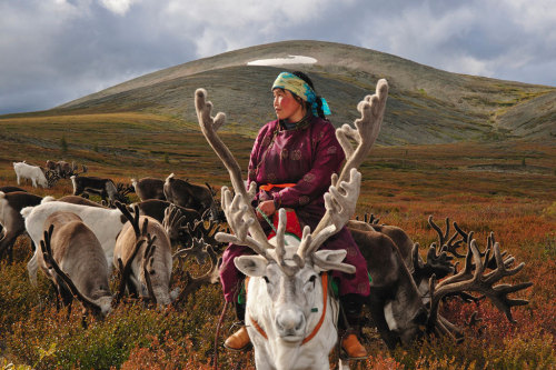 fotojournalismus:The Tsaatan (Dukha) Reindeer Nomads from the Mongolian North, or the Dark Heavens.P
