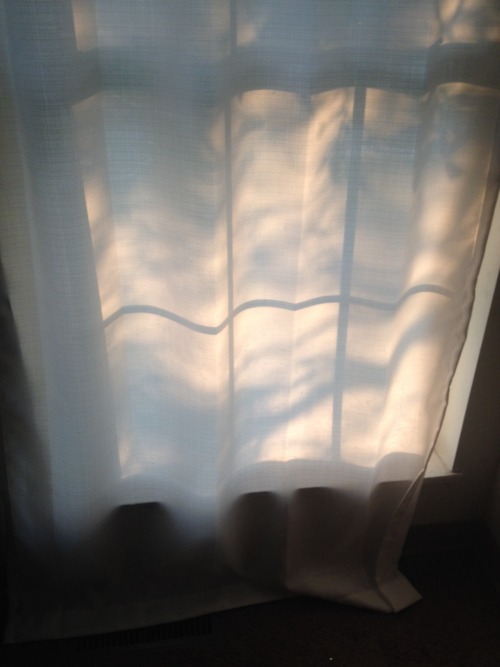 matissechick:The light in my room did a thing