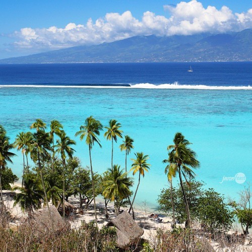 jasonfeastphoto:Paradise! #tahiti