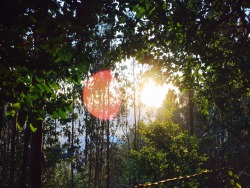 camview-temuco:  Cerro Ñielol, Temuco.