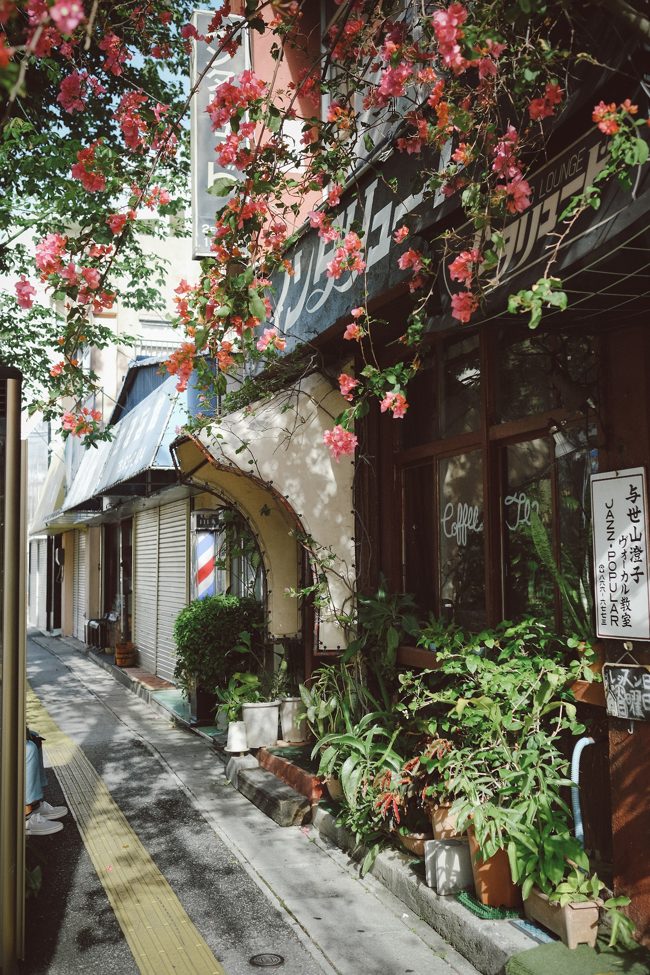 masanoritsuchiya: インタリュード | Instagram | Facebook | Okinawa Photowalk