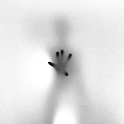 artthatremindsmeofhannibalnbc:Benoit Courti, from the series TV GhostPhotograph