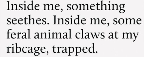 Me Because Im This Type Of Tumblr Girl Blogger: