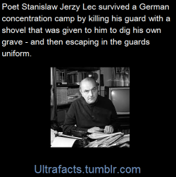 ultrafacts:This became the subject of оne