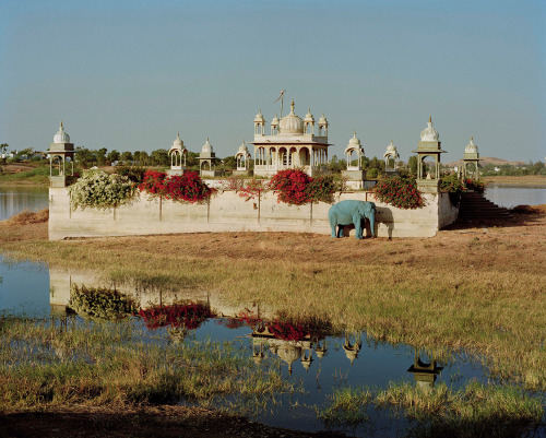 larastones:Blue Elephant and Temple, Dungarpur, Rajasthan, India by Tim Walker