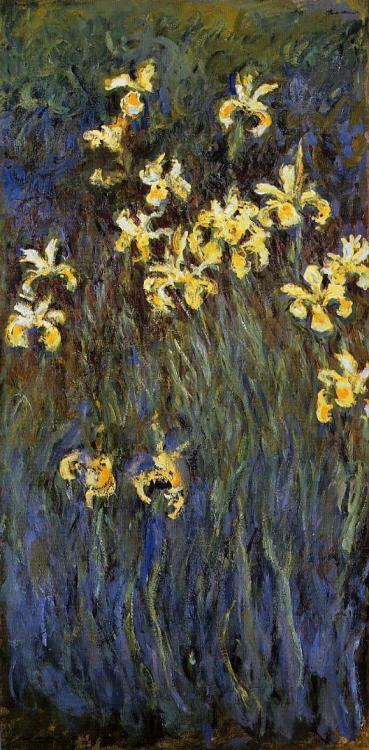  Iris flower  Monet 