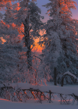 enantiodromija:  Sonorous notes of winter by Marat Akhmetvaleev 