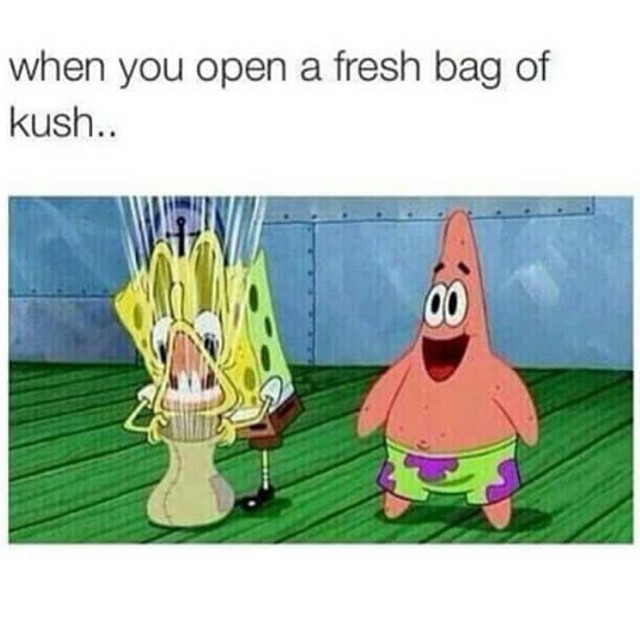 snorted:  Follow Our Instagram! &gt;&gt; @420DankNinja