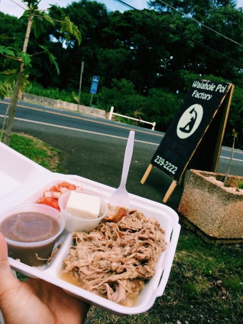 niccoolleeyy:  Best food around the island.  1. Haleiwa Bowls 2. Kahuku Grill 3. Kahuku Farms 4. Waihole Poi Factory 5. Bob’s Pizza 6. Pa’ina Cafe 7. Bubbies 8. Bogarts