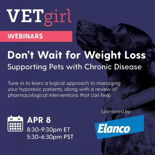 Save the date for another free @vetgirlontherun @elanco4pets webinar! #vetmed #veterinarian #vettec