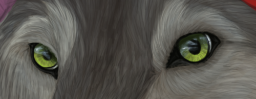 Patreon | Twitter | InstagramA detailed WIP shot of Jacquell&rsquo;s portrait. Process GIF will 