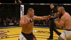 forfightersnotlovers:  Cain Velasquez vs. Travis BrowneUFC 200 (July 9, 2016)Where Chris Weidman failed, Cain Velasquez succeeded in hitting a textbook wheel kick, followed by a good punch combination.