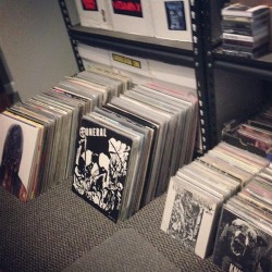 iownsomerecords:  So these are the piles