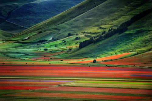 expressions-of-nature:  Castelluccio, Italy