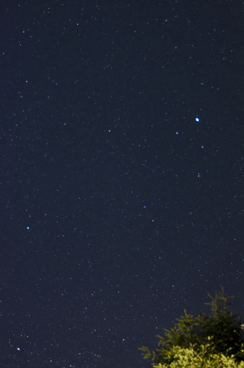 Harstine Island Starscape