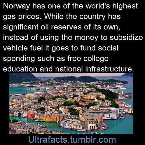 blue-eyesthick-thighs:  captainamerica-in-middle-earth:  superhusbands4ever:  ultrafacts:   Sources: 1 2 3 4 5 6 7 8 9 10 Follow Ultrafacts for more facts   Sudden urge to visit norway  Sudden urge to move to Norway  Moving to Norway 