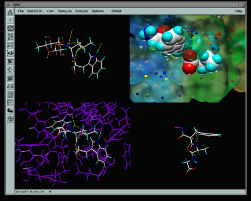 Sybyl Molecular Modeling software running under SGI IRIX (1998)