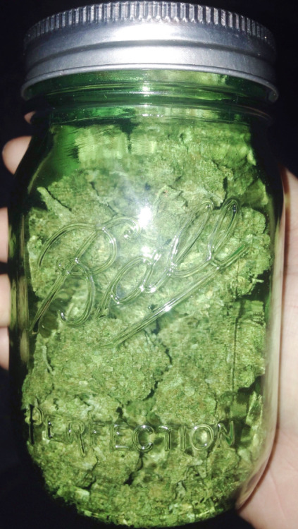 Porn Pics thatsgoodweed:  the loud pack