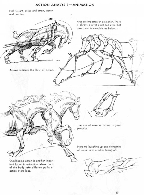 If You Love Animals Or Drawing Then You Should Add This Book To Your Collection. The Art Of Animal Drawing