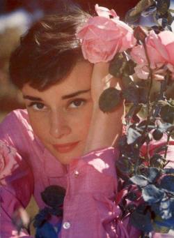 60sgirl-blog:  Audrey Hepburn, 1955. 